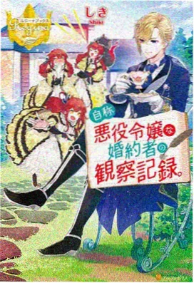 高嫁日记